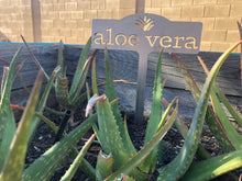 Load image into Gallery viewer, Garden Markers | Custom Garden Stake | Garden Signs | Personalized Metal Garden | Vegetable Markers | Plant Markers | Gardener Gift