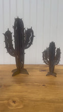 Load and play video in Gallery viewer, 3D Spike Saguaro Cactus
